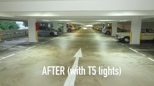 T5 Fluorescent